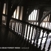 Review: A Dead Forest Index - Antique