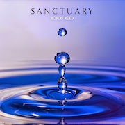 Robert Reed: Sanctuary