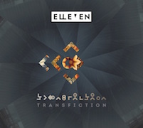 Elleven: Transfiction