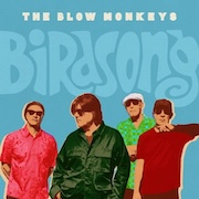 DVD/Blu-ray-Review: The Blow Monkeys - Birdsong