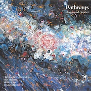 DVD/Blu-ray-Review: Playground Quartet - Pathways